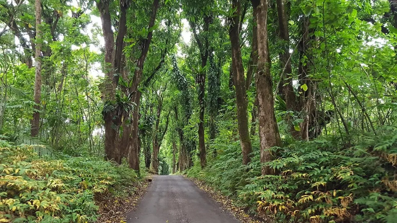 بيت للعطل Hale Ki'I Maka Manu Home Keaau الولايات المتحدة الأمريكية